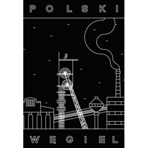 Polski węgiel [E-Book] [epub]