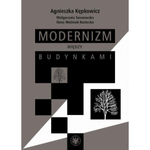 Modernizm między budynkami [E-Book] [mobi]