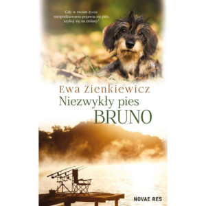 Niezwykły pies Bruno [E-Book] [mobi]