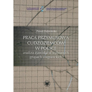 Praca przymusowa cudzoziemców w Polsce [E-Book] [epub]