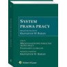 System Prawa Pracy. TOM IX. Międzynarodowe publiczne prawo pracy. Standardy globalne [E-Book] [pdf]