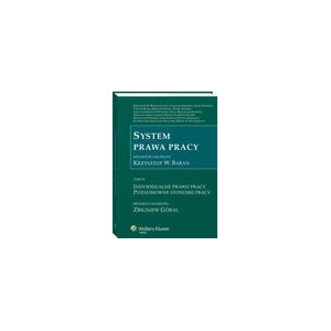 System prawa pracy. TOM IV. Indywidualne prawo pracy. Pozaumowne stosunki pracy [E-Book] [pdf]