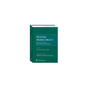 System Prawa Pracy. TOM VIII. Prawo rynku pracy [E-Book] [pdf]