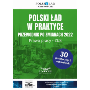Polski ład w praktyce Przewodnik po zmianach 2022. Prawo Pracy , ZUS [E-Book] [pdf]