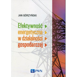 Efektywność energetyczna w działalności gospodarczej [E-Book] [epub]