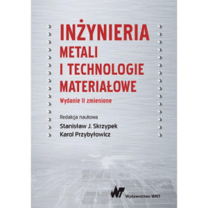 Inżynieria metali i technologie materiałowe [E-Book] [epub]