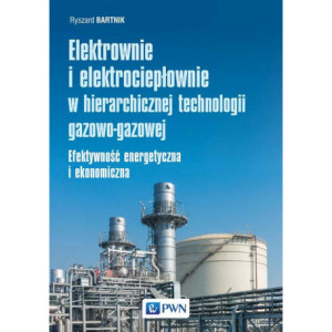 Elektrownie i elektrociepłownie w hierarchicznej technologii gazowo-gazowej [E-Book] [epub]