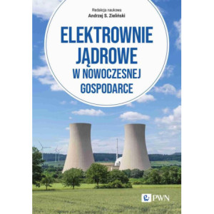 Elektrownie jądrowe w nowoczesnej gospodarce [E-Book] [epub]