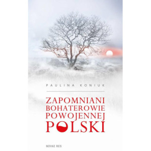 Zapomniani bohaterowie powojennej Polski [E-Book] [epub]