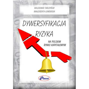 Dywersyfikacja ryzyka na polskim rynku kapitałowym [E-Book] [pdf]