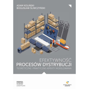 Efektywność procesów dystrybucji – teoretyczne i praktyczne aspekty modelowania [E-Book] [pdf]