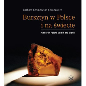 Bursztyn w Polsce i na świecie [E-Book] [pdf]