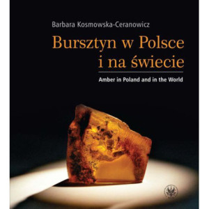 Bursztyn w Polsce i na świecie. Amber in Poland and in the World [E-Book] [pdf]