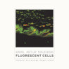 Fluorescent cells. Confocal microscope images album [E-Book] [pdf]