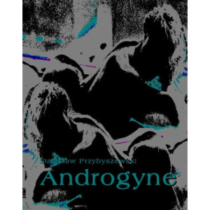 Androgyne [E-Book] [mobi]