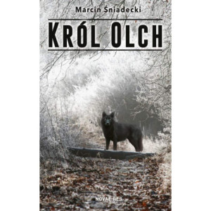 Król Olch [E-Book] [mobi]