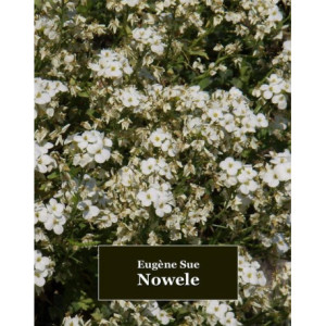 Nowele [E-Book] [mobi]