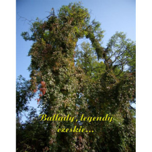 Ballady, legendy czeskie... [E-Book] [mobi]