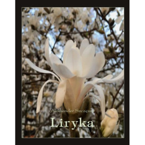 Liryka [E-Book] [epub]