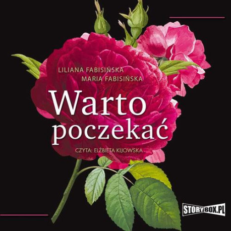 Warto poczekać [Audiobook] [mp3]