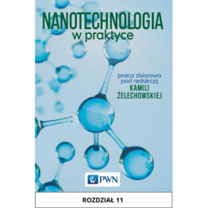 Nanotechnologia w praktyce. Rozdział 11 [E-Book] [mobi]