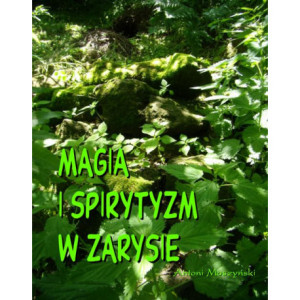 Magia i spirytyzm w zarysie [E-Book] [mobi]