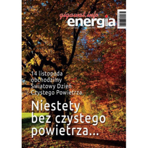 Energia Gigawat nr 11/2018 [E-Book] [pdf]