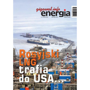 Energia Gigawat nr 1/2019 [E-Book] [pdf]