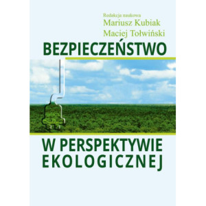 Bezpieczeństwo w perspektywie ekologicznej [E-Book] [pdf]