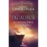 Excalibur. Dziedzictwo ludzkości [E-Book] [mobi]