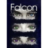 Falcon Na ścieżce kłamstw Tom 1 [E-Book] [mobi]