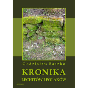 Kronika Lechitów i Polaków [E-Book] [pdf]