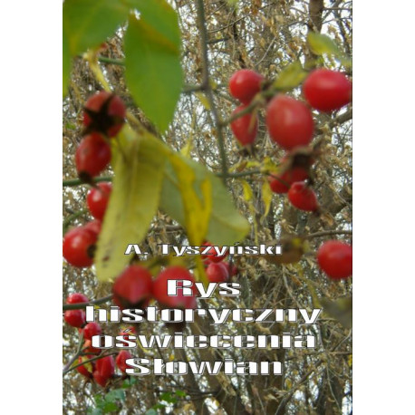Rys historyczny oświecenia Słowian [E-Book] [pdf]
