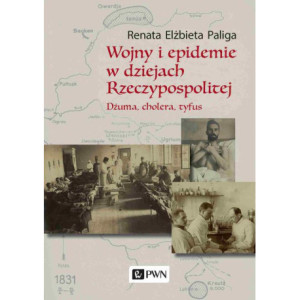 Wojny i epidemie w dziejach Rzeczypospolitej. Dżuma, cholera, tyfus [E-Book] [mobi]
