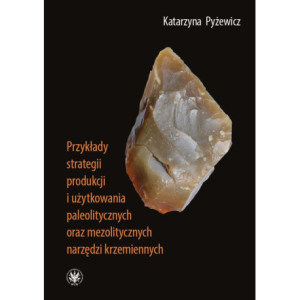 Przykłady strategii produkcji i użytkowania paleolitycznych oraz mezolitycznych narzędzi krzemiennych [E-Book] [epub]