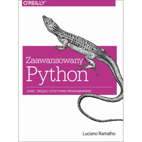 Zaawansowany Python [E-Book] [pdf]