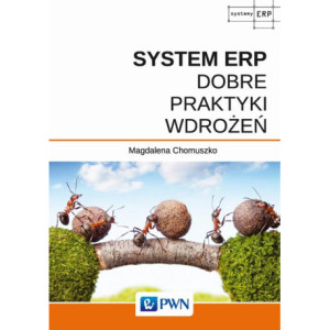 System ERP - Dobre praktyki wdrożeń [E-Book] [epub]