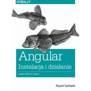 Angular instalacja i działanie [E-Book] [pdf]