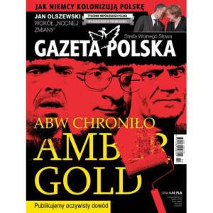 Gazeta Polska 31/05/2017 [E-Book] [pdf]