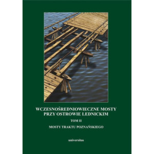 Wczesnośredniowieczne mosty przy Ostrowie Lednickim [E-Book] [pdf]