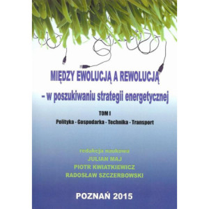 Między ewolucją a rewolucją - w poszukiwaniu strategii energetycznej Tom 1 [E-Book] [pdf]