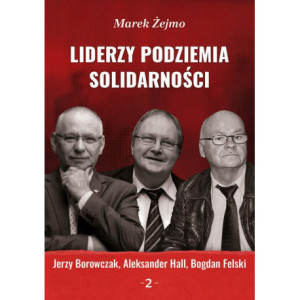 Liderzy podziemia „Solidarności” 2. Jerzy Borowczak, Bogdan Felski, Aleksander Hall [E-Book] [pdf]