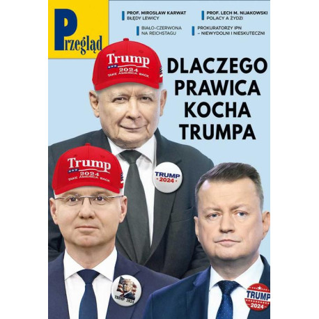 Przegląd. 19 [E-Book] [pdf]