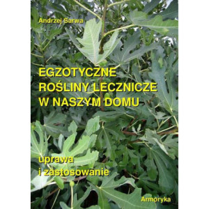 Egzotyczne rośliny lecznicze w naszym domu [E-Book] [epub]