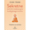 Sekretne techniki medytacyjne buddyjskiego mnicha. Poradnik dla każdego [E-Book] [pdf]