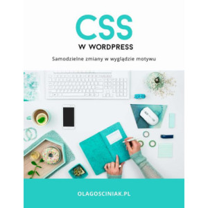 CSS w Wordpress. Samodzielne zmiany w wyglądzie motywu [E-Book] [pdf]