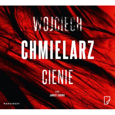 Cienie [Audiobook] [mp3]