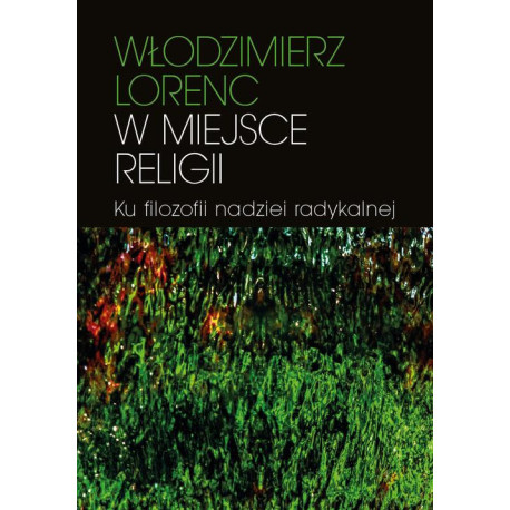 W miejsce religii [E-Book] [mobi]