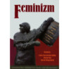 Feminizm [E-Book] [pdf]