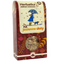 Natura Wita Herbata Na Jesienne Słoty 100G